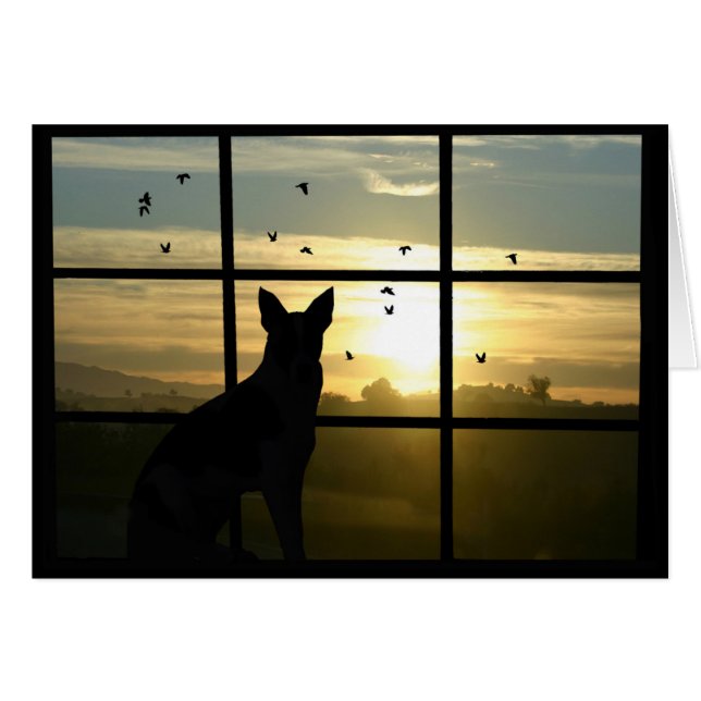 Simpatía del perro, pérdida de la tarjeta del perr (Anverso (Horizontal))