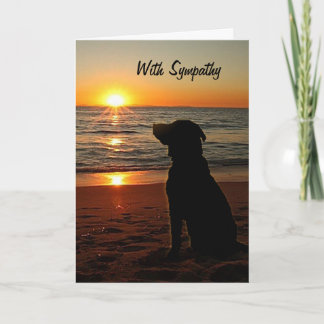 Simpatía: Sunset y Dog en la tarjeta de playa
