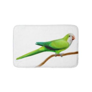 Simpática alfombra de loro de cuáquer