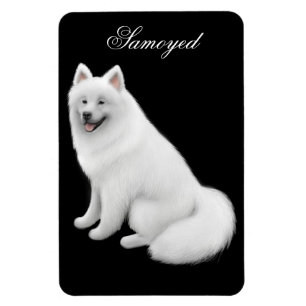 Simpático imán premium para perros samoyed