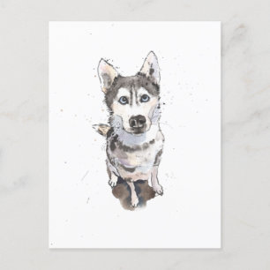 simple Gray Husky lindo perro divertido postal