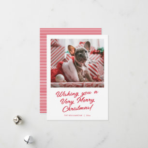 Simple guión de Feliz Navidad para mascota perro r
