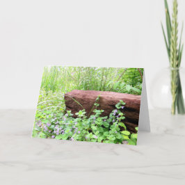 Simple Nature - Tarjeta de felicitación en blanco