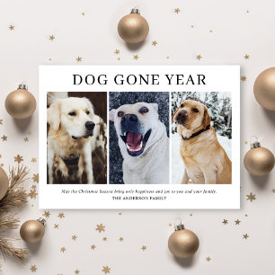 Simple Perro Se Fue Año 3 Foto Navidad
