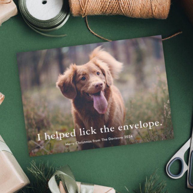 Simple Tipo divertido mascota Navidad  (Simple funny pet 3 photo christmas holiday cards.)