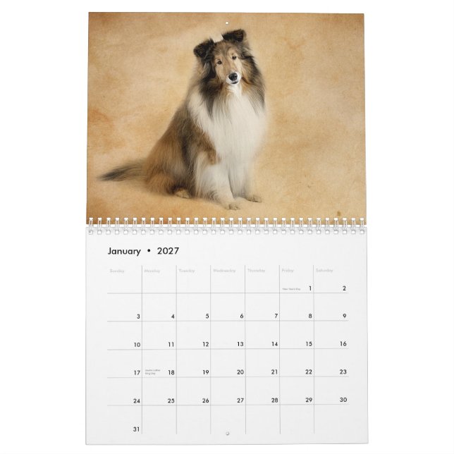 Simplemente calendario de Shelties (Jan 2027)