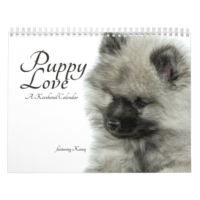 Simplemente calendario del perrito del Keeshond (Tapa)