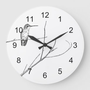 Simplemente un colibrí en un reloj de pared cuadr