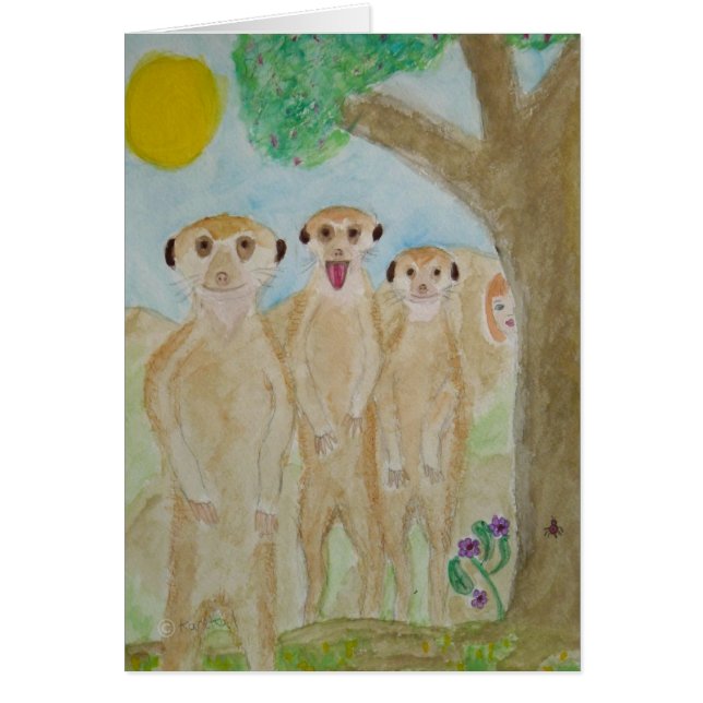 simples kats (Frente)