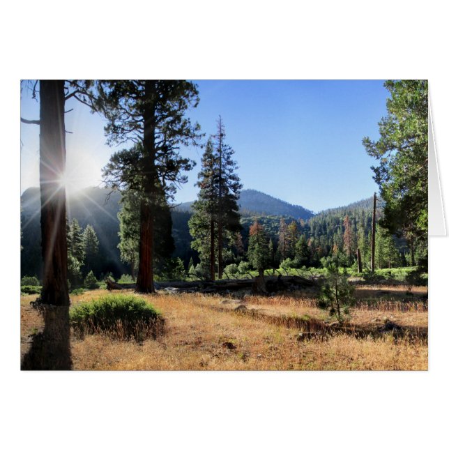 Simpson Meadow - Sierra (Anverso (Horizontal))