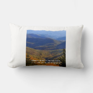 Sin almohada lumbar WIFI