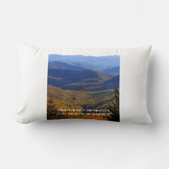 Sin almohada lumbar WIFI (Anverso)