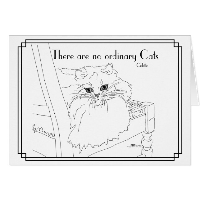 Sin gatos comunes (Anverso (Horizontal))