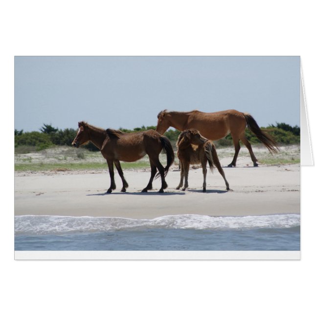 Sin recorrido II (Anverso (Horizontal))