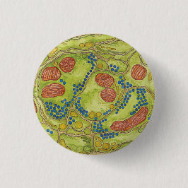 Sinapsis de TEM - Pin y botón