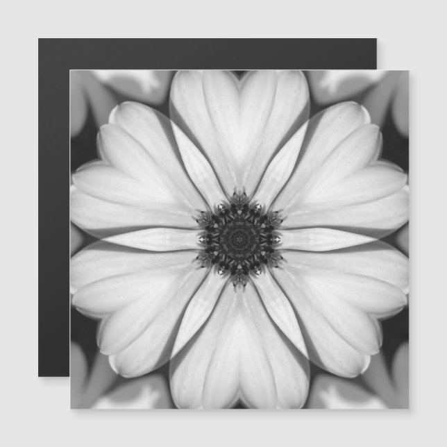 Sinfonía de la Tarjeta Magnética de Petals (Anverso/Reverso)