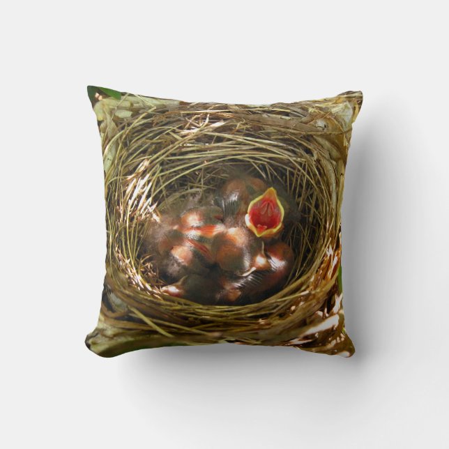 Sing Out [baby Robins] - almohada (Anverso)