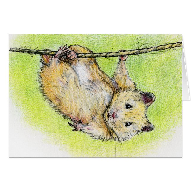 Sir Ham (Anverso (Horizontal))