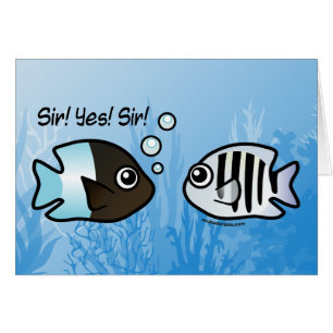 ¡Sir! ¡Sí! ¡Sir!