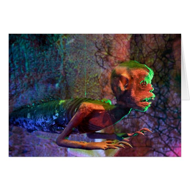 Sirena de Fiji (Anverso (Horizontal))