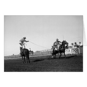 Sirva la situación en un caballo roping un caball