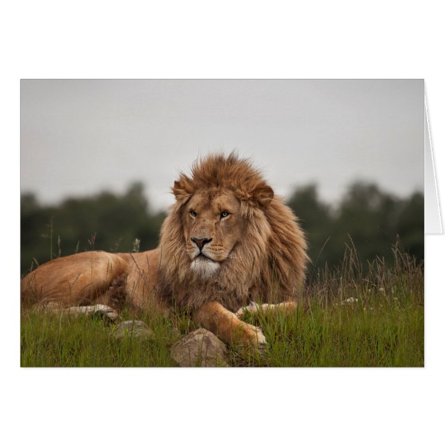 Sirva su sido un día largo (Anverso (Horizontal))