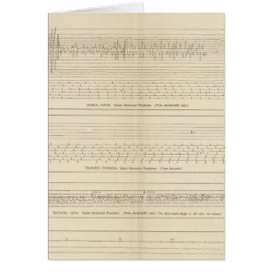 Sismogramas de California 15