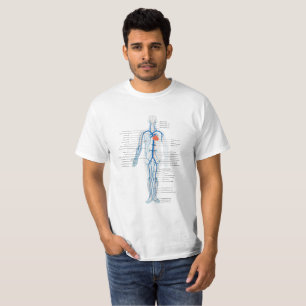 Sistema circulatorio humano de la camiseta de