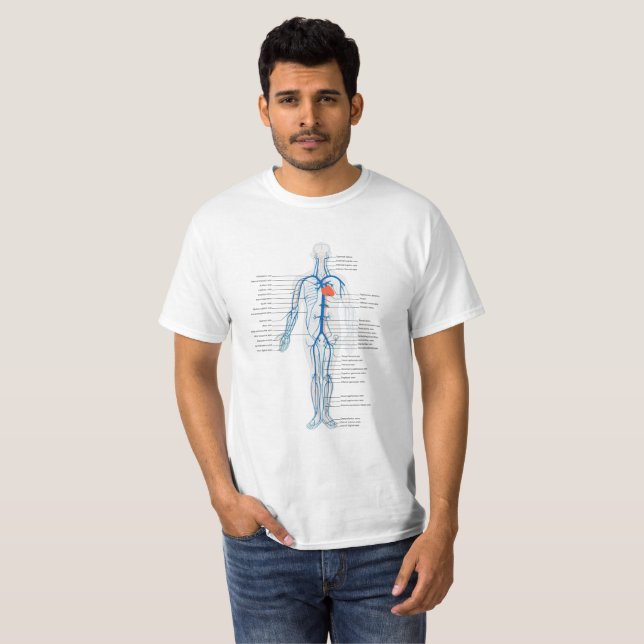 Sistema circulatorio humano de la camiseta de (Anverso completo)