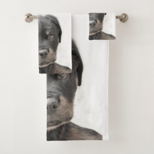 Sistema de la toalla del perro de perrito de