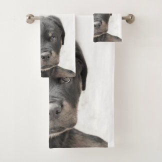 Sistema de la toalla del perro de perrito de