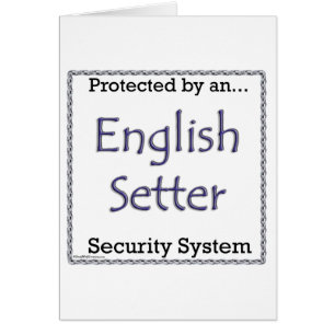 Sistema de seguridad de la instalación en inglés