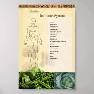 Sistema Inmunitario Sano de Póster