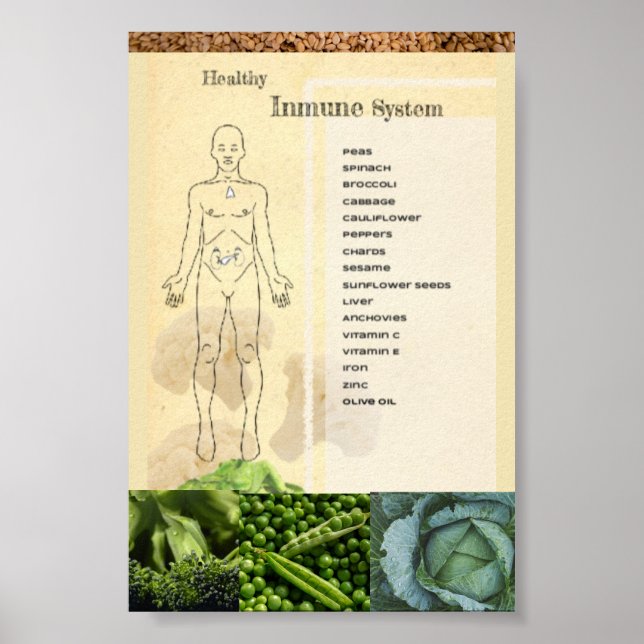 Sistema Inmunitario Sano de Póster (Frente)