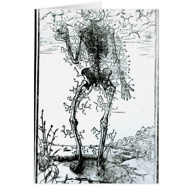 Sistema vascular del cuerpo (Frente)