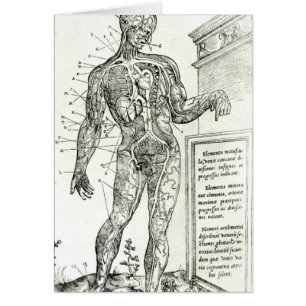 Sistema vascular según Charles Etienne