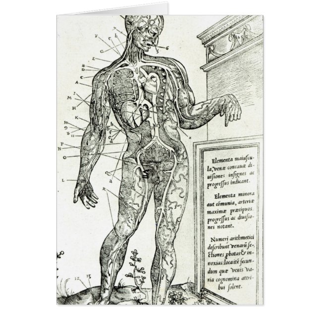 Sistema vascular según Charles Etienne (Frente)