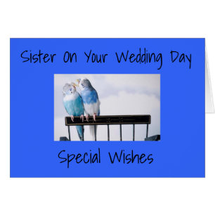 ****SISTER*** "FAVORITE LOVE BIRDS" EL DÍA DE LA B
