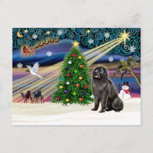 Sitio web de Navidad - Newfie
