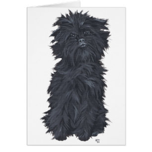 Sitting Affenpinscher
