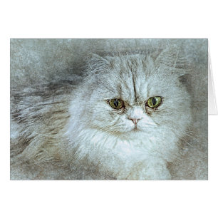 Sitting Bonito Kitty Resumen Acuarela