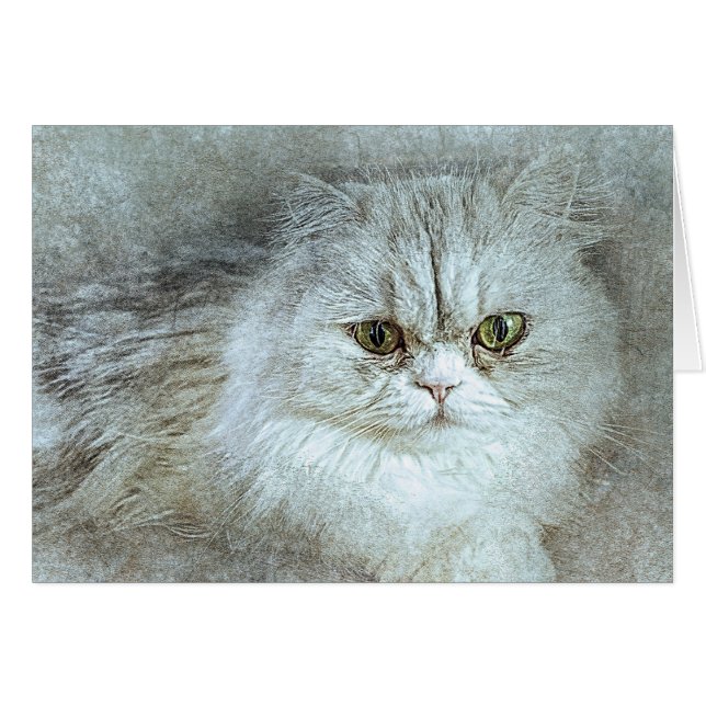 Sitting Bonito Kitty | Resumen | Acuarela (Anverso (Horizontal))