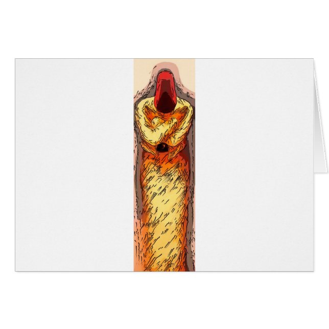 situación del sufi (Anverso (Horizontal))