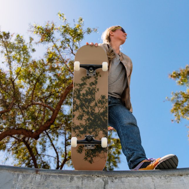 Skateboard (Exterior 1)
