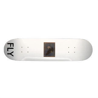 SKATEBOARD 258, MOSCA