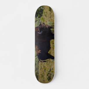Skateboard A Quien Estás Mirando