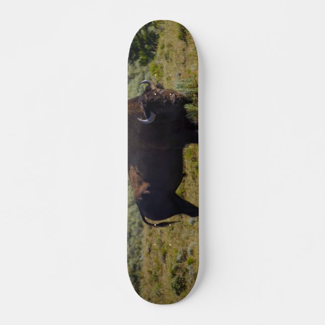 Skateboard A Quien Estás Mirando (Anverso )