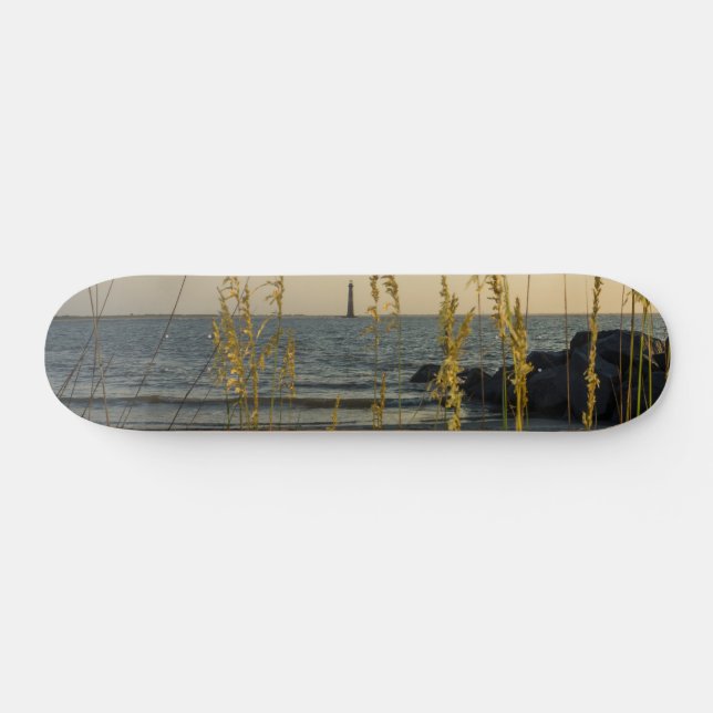 Skateboard A Través De Las Orejas Marinas (Horz)