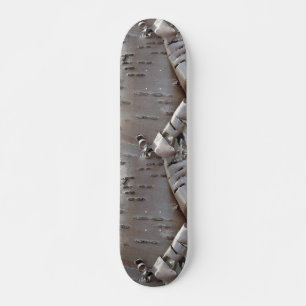 Skateboard Abedul Rizado Corteza Árbol Rústico
