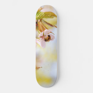 Skateboard Abeja En Una Flor De Cerezo